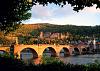     
: Schloss-Heidelberg_web_reference.jpg
: 265
:	24.4 
ID:	7738