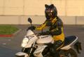 ������ ��� Mototelka